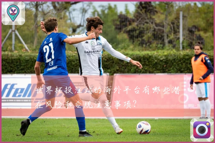 世界杯投注站的海外平台有哪些潜在风险和合规注意事项？