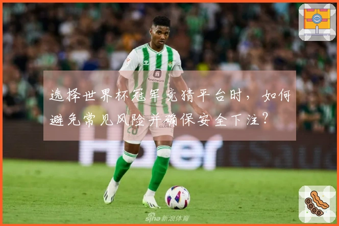 选择世界杯冠军竞猜平台时，如何避免常见风险并确保安全下注？