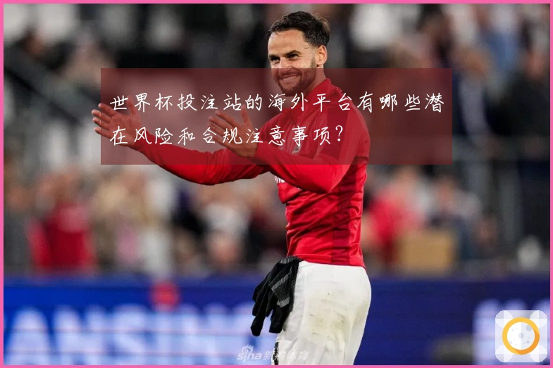 世界杯投注站的海外平台有哪些潜在风险和合规注意事项？
