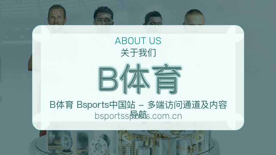 B体育平台简介展示